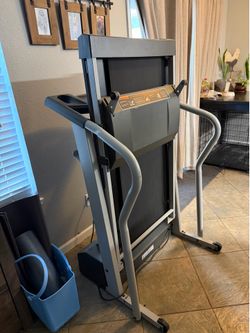Large Treadmill