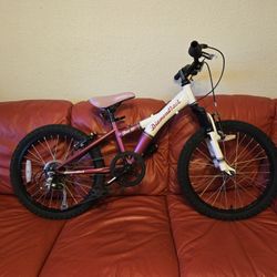 Like New Diamondback Tess 20" Bike