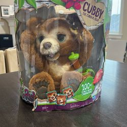 Cubby Curious Bear