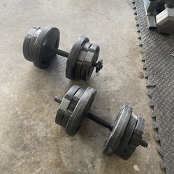 Dumbbells/20lb