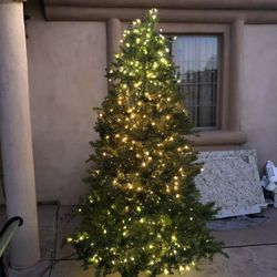 Xmas Tree 7ft Tall $115