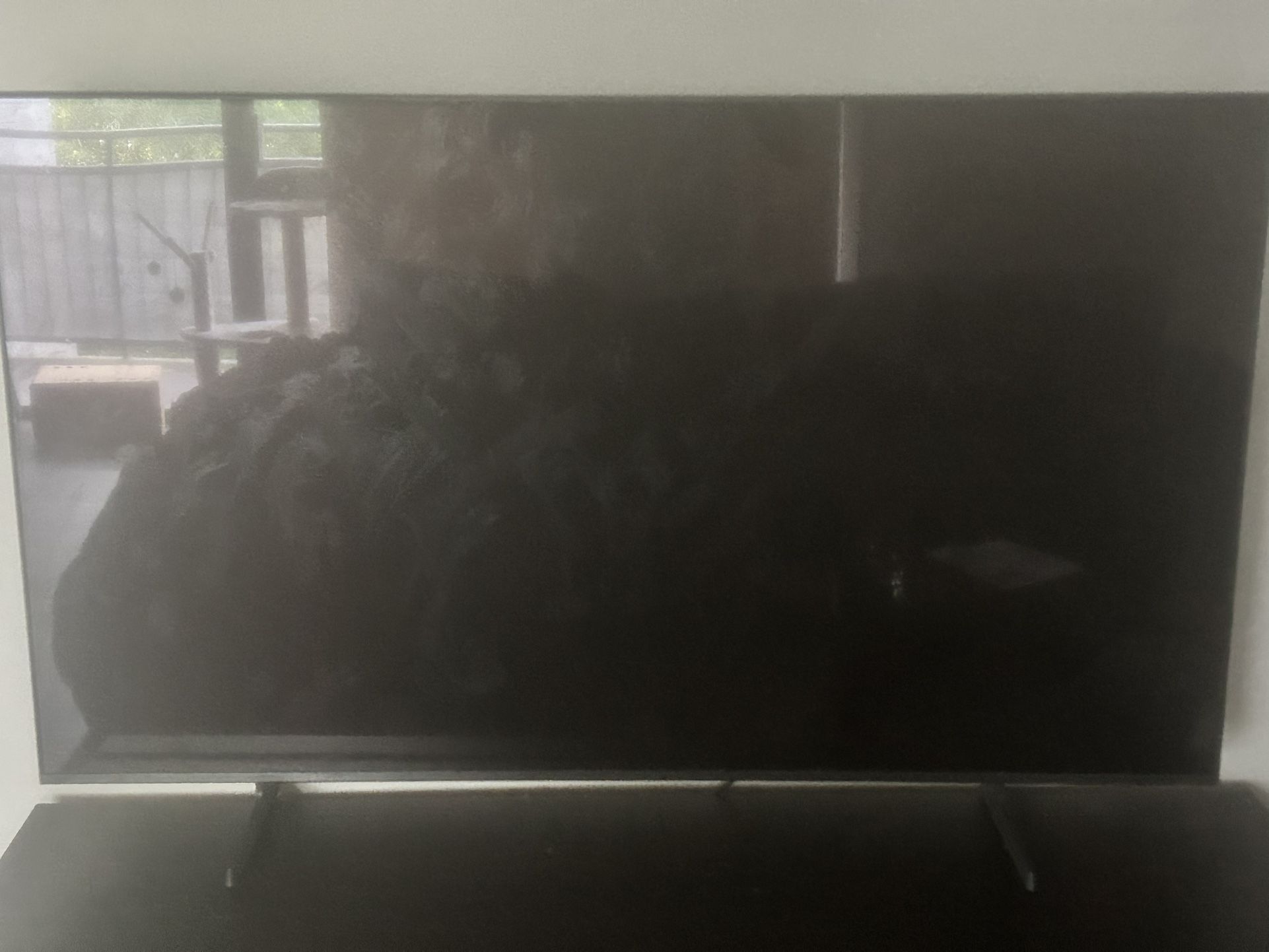 65” Smart TV