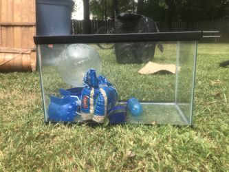 Gerbil/Hamster Tank
