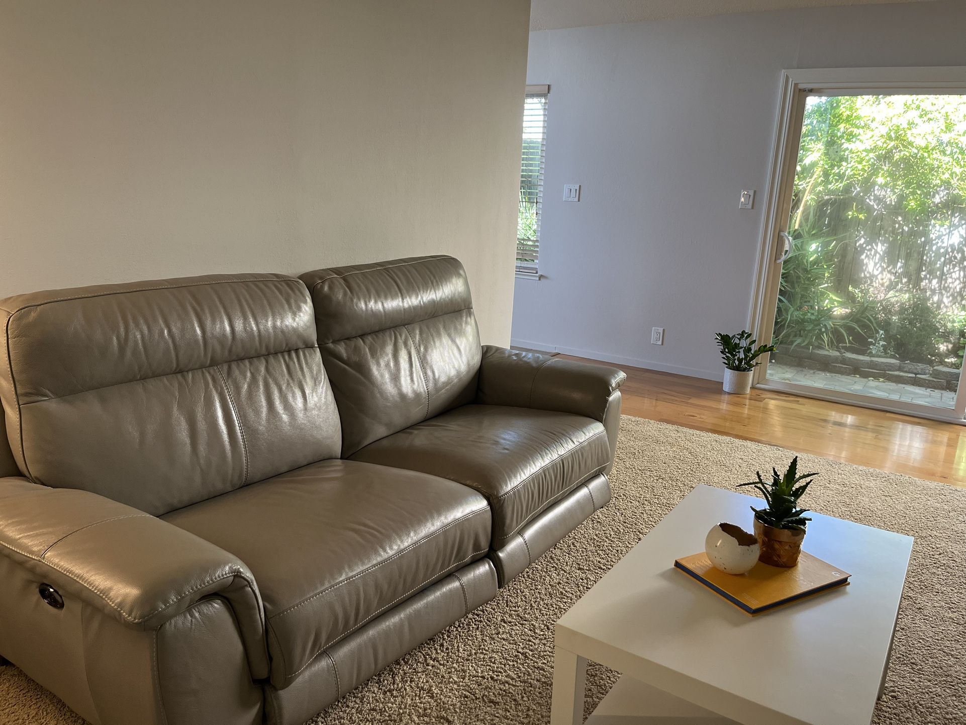 Reclinable & Comfy Couch