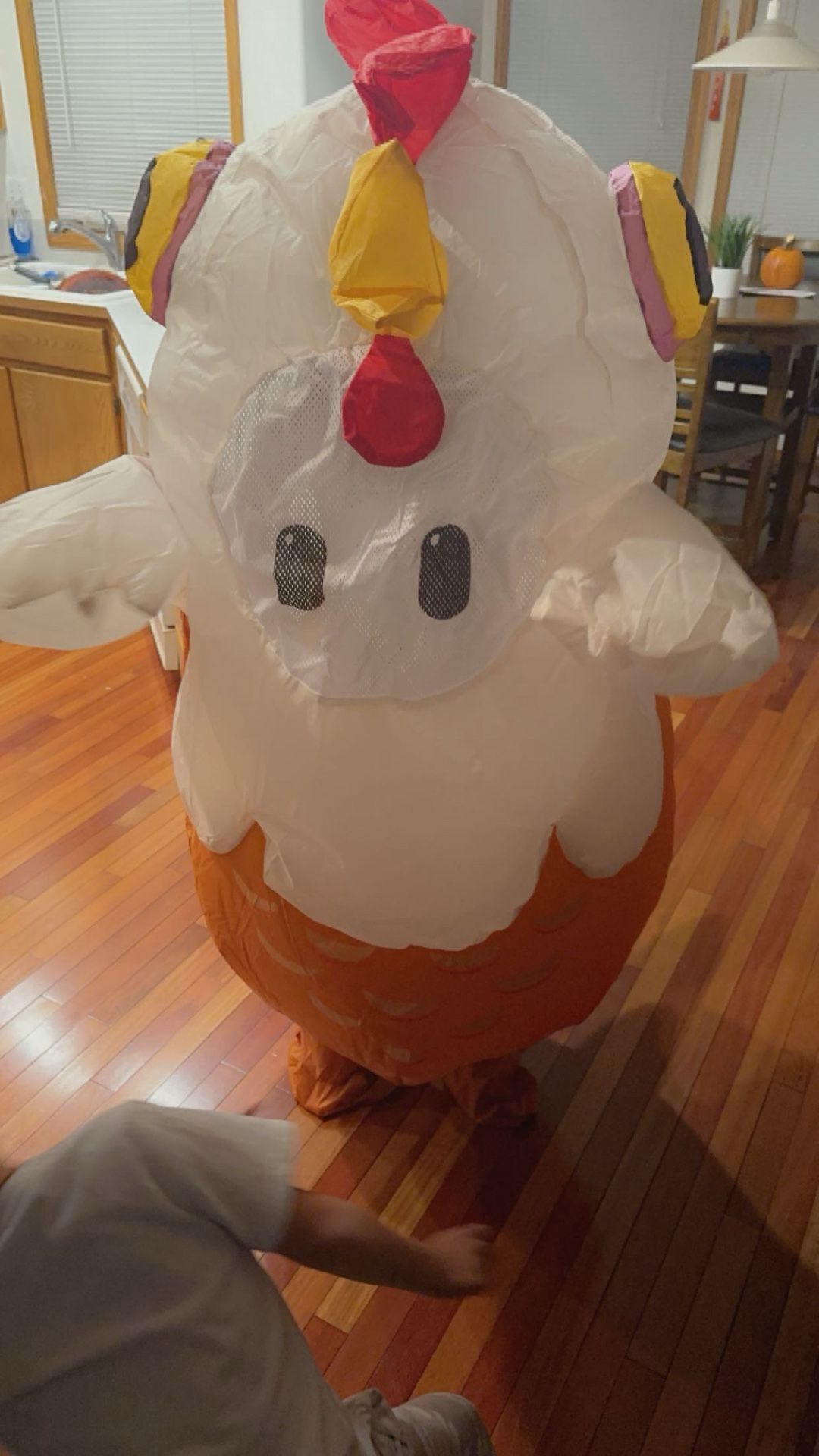 Chicken Halloween Costume