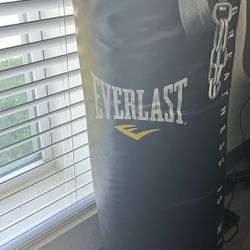 Everlast Punching Bag (Bolsa De Boxeo )