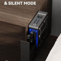 HOLEWOR Fingerprint Security Safe