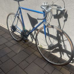 Schwinn Track Bike