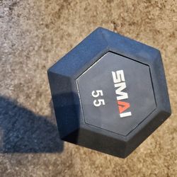 SMAI Dumbbells Pair 55lbs Each