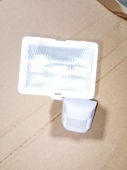 Flood Light