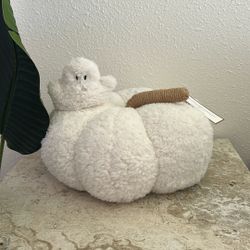 Pumpkin Decor  