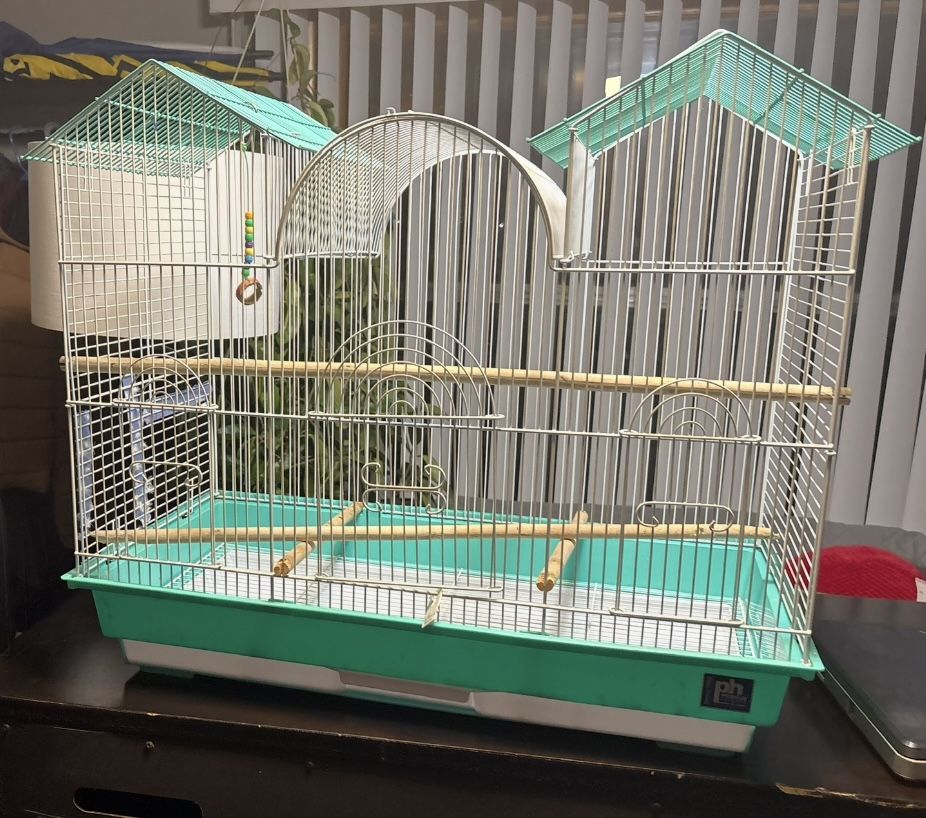 Bird Cage