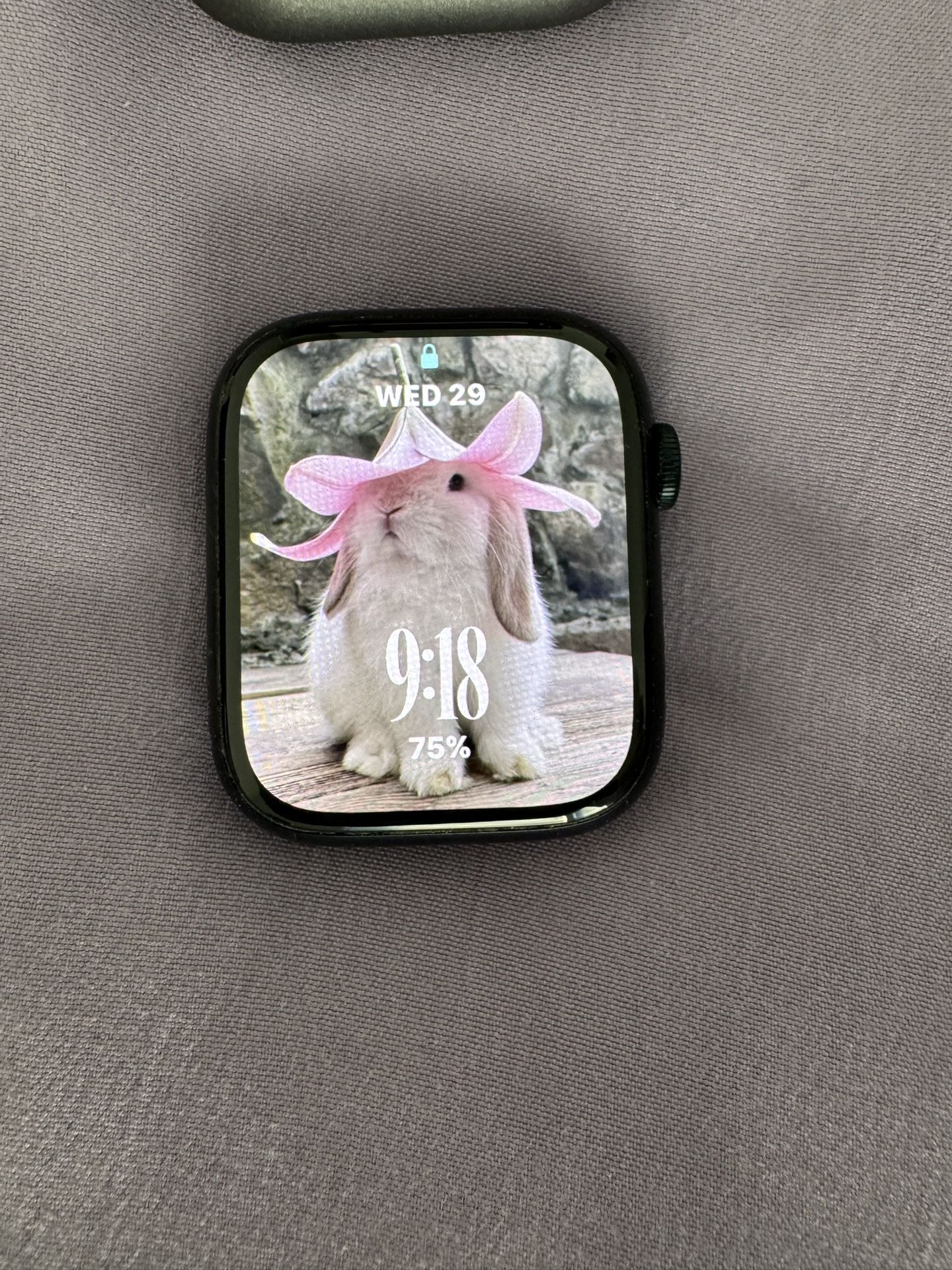Apple Watch Se 2 Gen