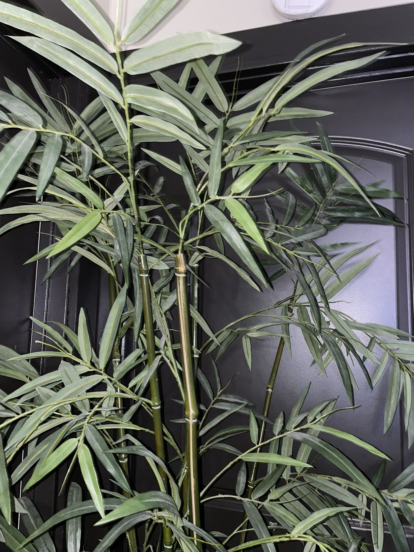 Fake Bamboo decorative plant