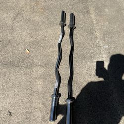 Olympic curl bars $40 each