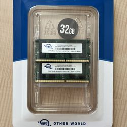 OWC 32GB (2X16GB) DDR4 RAM Compatible with Synology NAS Flashstation FS1018 2666MHz PC4-21300 CL19 ECC Unbuffered SODIMM 2Rx8 1.2V Memory Upgrade
