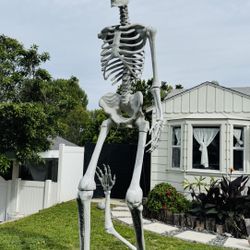 Giant Skeleton