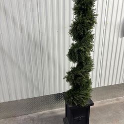 Indoor/ outdoor topiary plant on a American eagle base.. 74 “ high $80