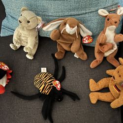 6 Beanie Babies 
