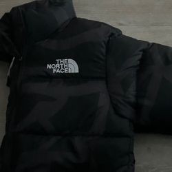 the Northface x kaws