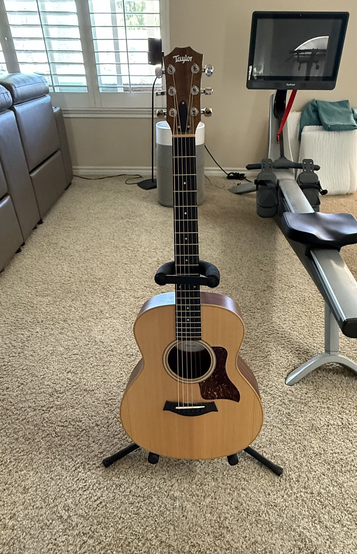 Taylor GS Mini
