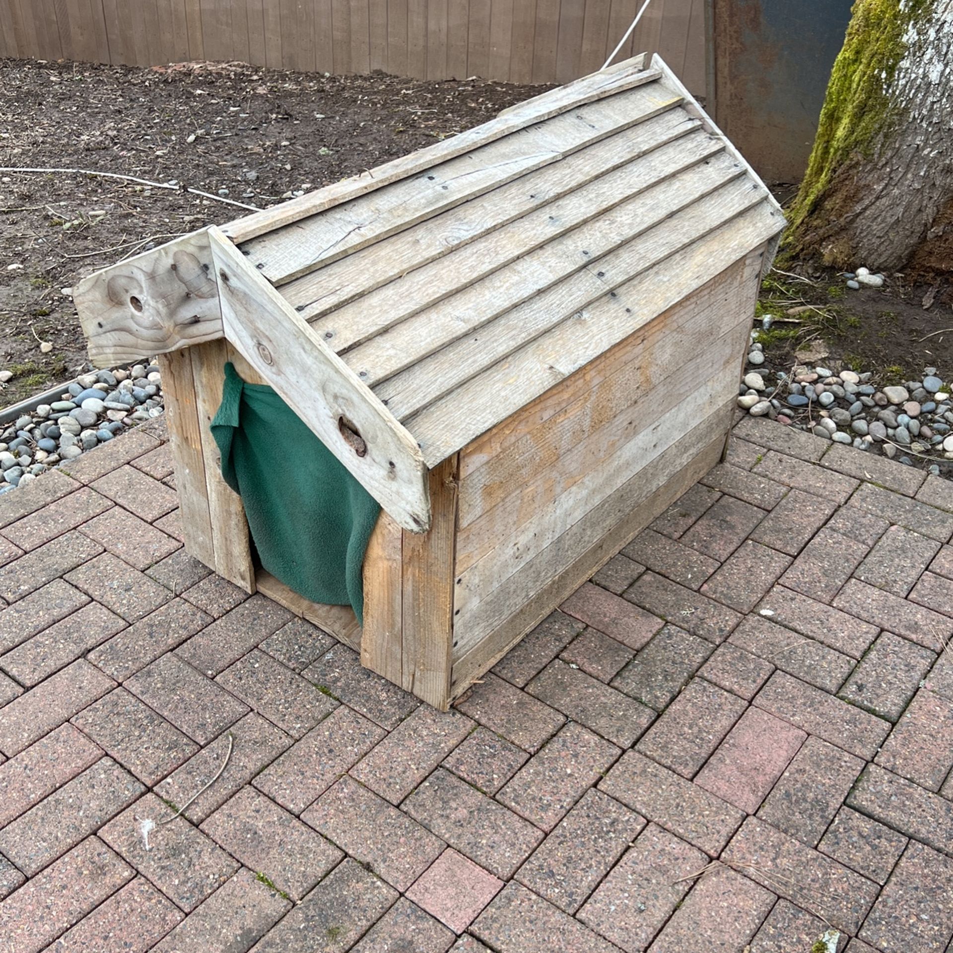Dog House