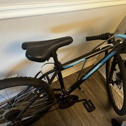 Kent Bicycle 