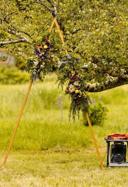 Gold wedding arch