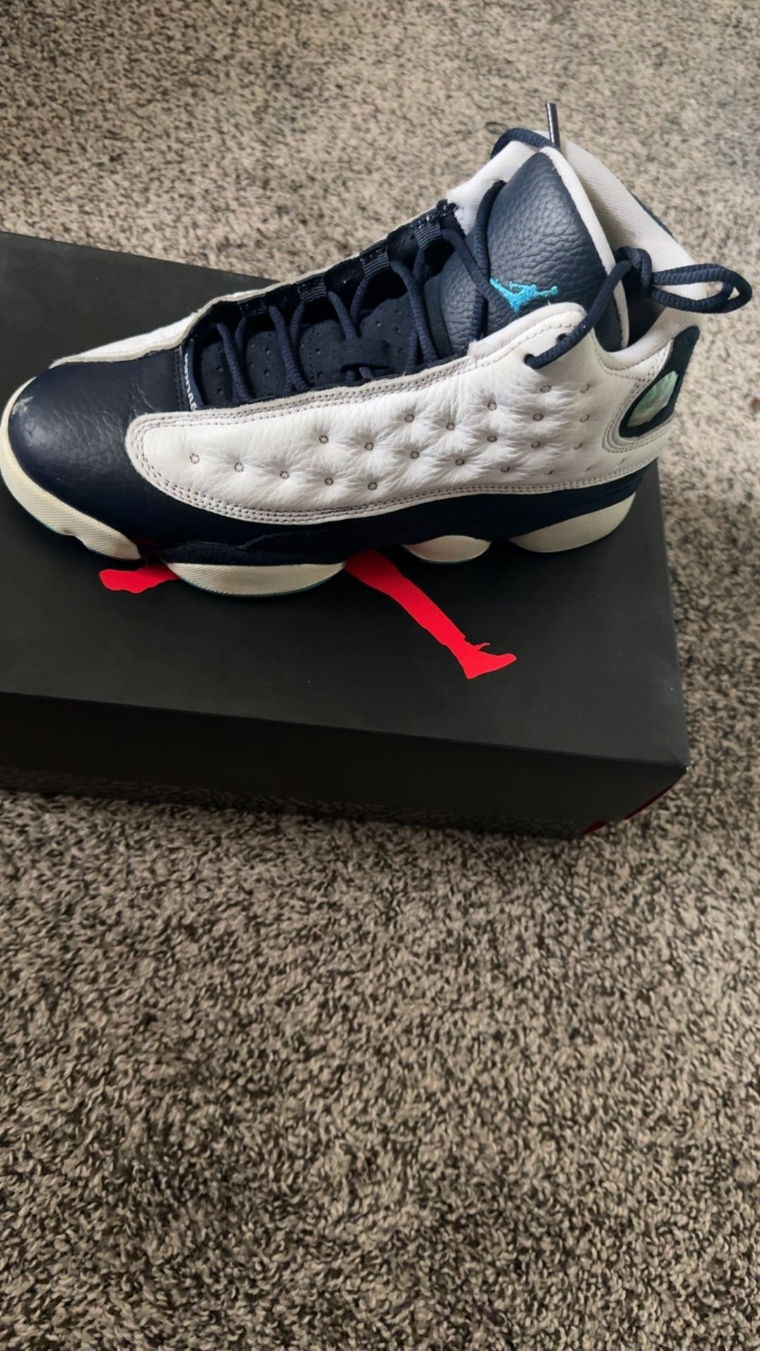 Air Jordan 13s