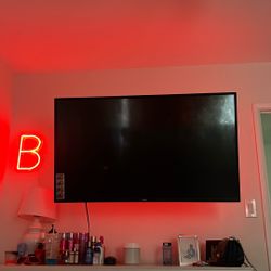 Vizio 55 Inch