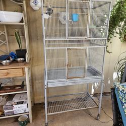 Bird Cage 