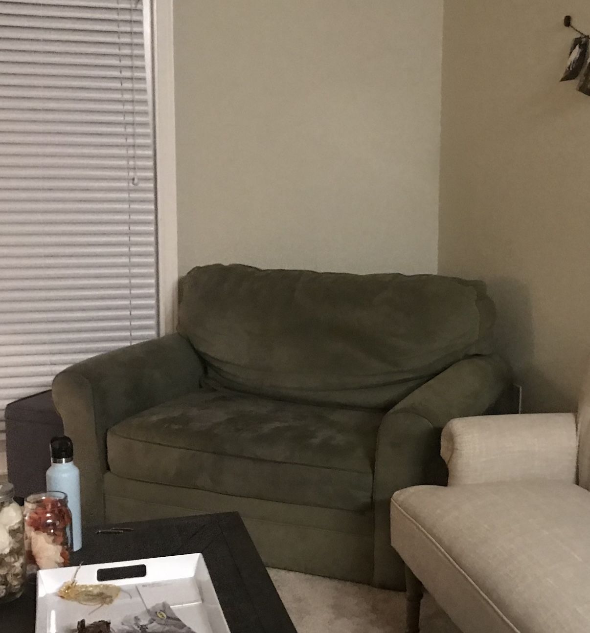 Love Seat With Twin Pullout Bed