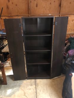 Braxton Studio Marine Modern 2 door storage cabinet in a wenge brown dark finish