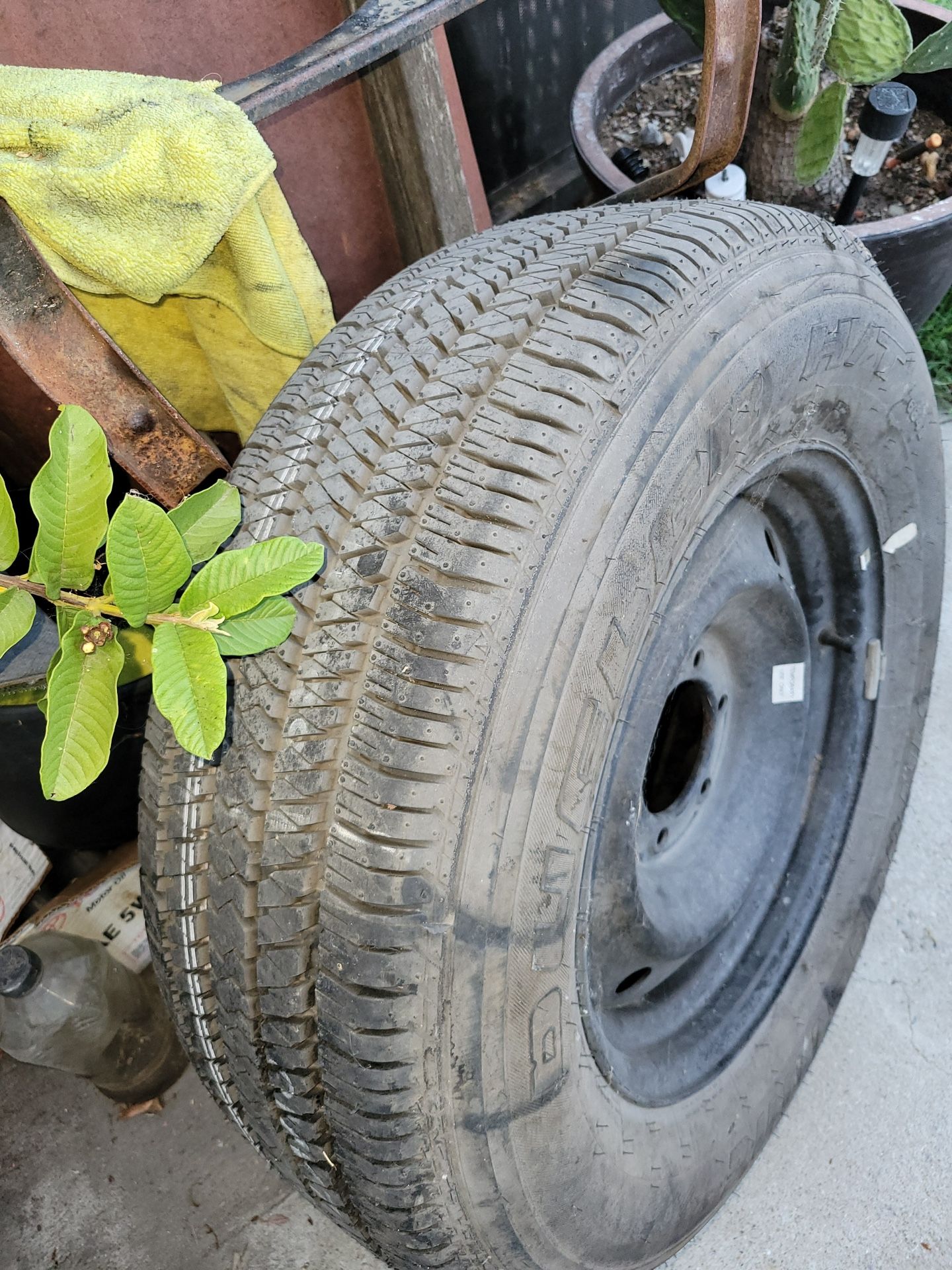 Wheel And Tire $50