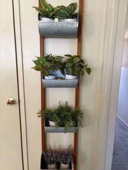 Hanging plant decorations