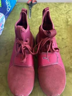 Pumas