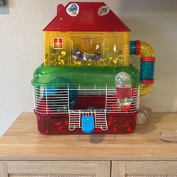 2 Live Mice With House And Food Essentials Free