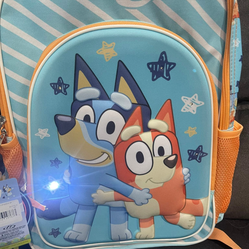 Back packs with light and justice