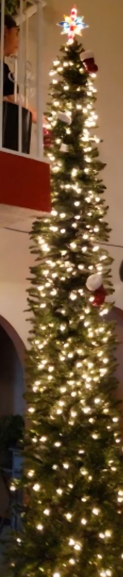 Christmas Tree 12 Ft. Pre-Lit 800 Lights