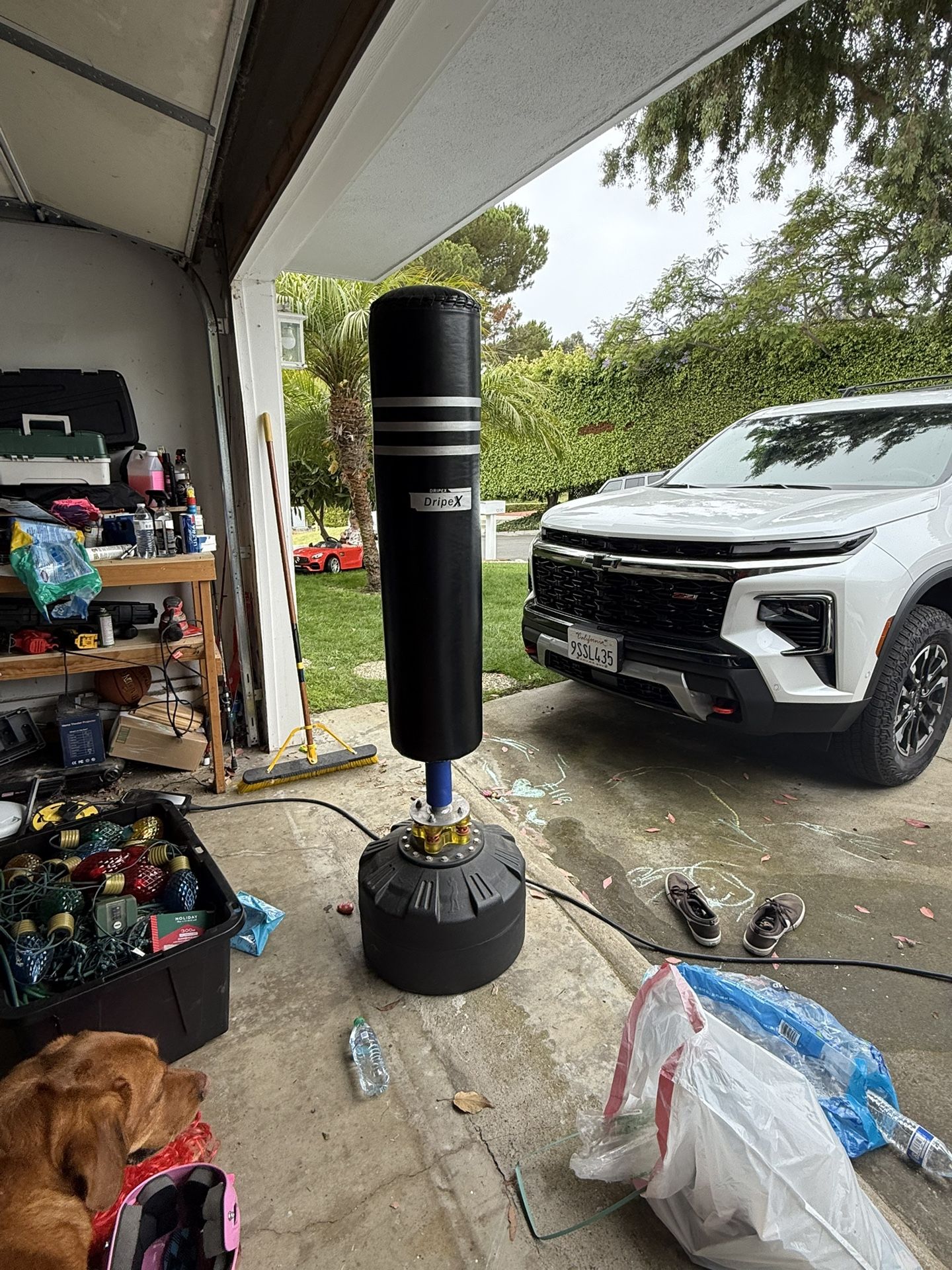Punching bag