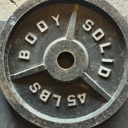LOW PRICE **   2 Olympic Weights 45lb 