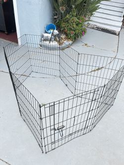Dog Fence