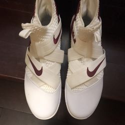 Nike Lebron Shoes