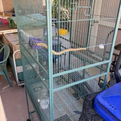 Bird Cage On Wheels 