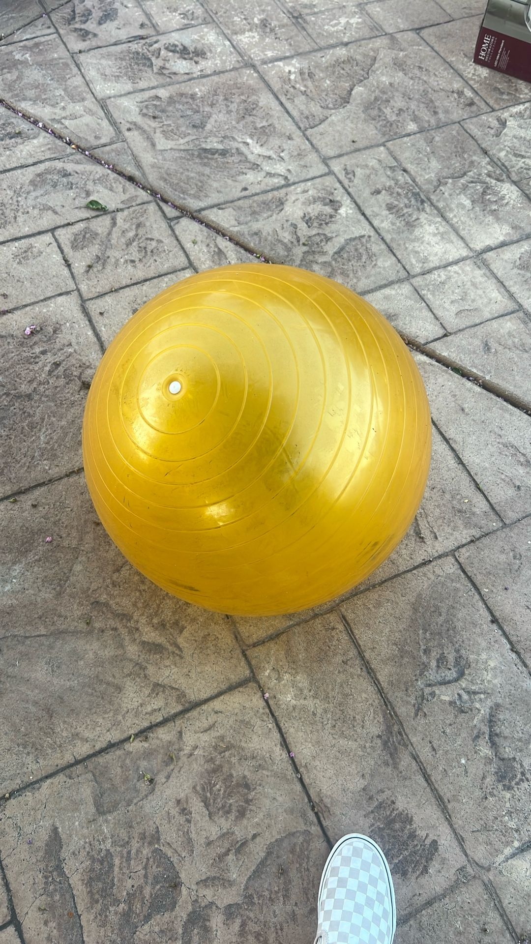 Exercise Ball