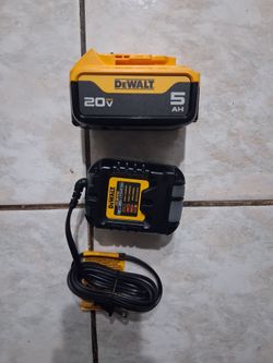 Dewalt 20v 5.0 battery plus charger
