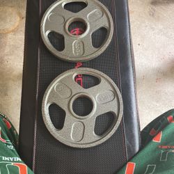 Pair Of Weightlifting 5 Pound Plates