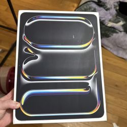 Apple iPad Pro 13inch M4 