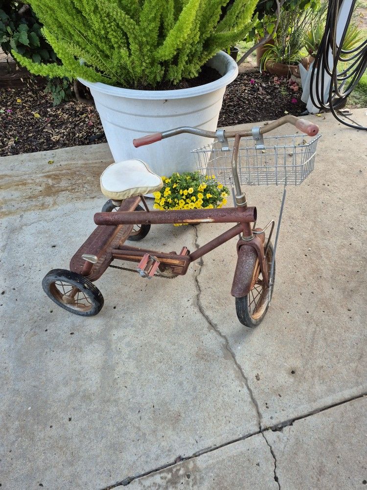 Vintage Tricycle