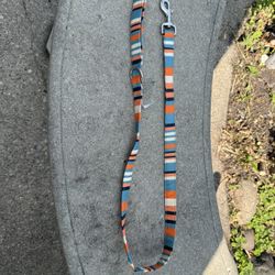 Top Paw 4 Foot Dog Leash